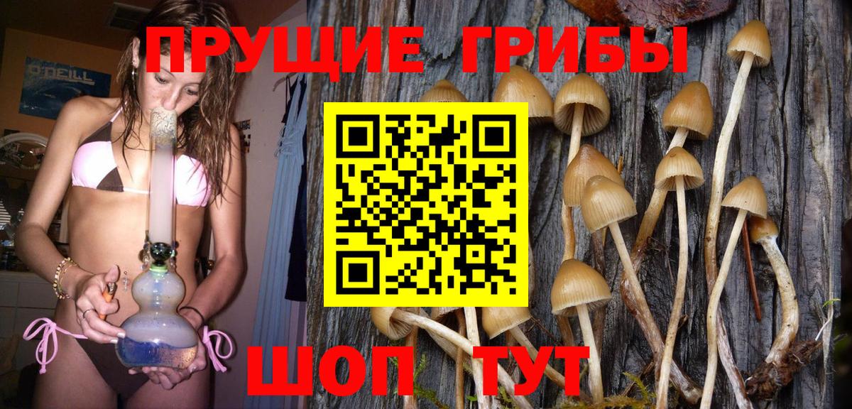 Галлюциногенные грибы Psilocybe Россошь