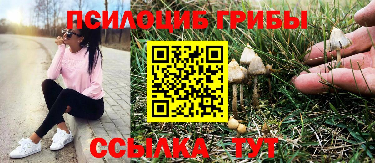 Галлюциногенные грибы MAGIC MUSHROOMS  Вход с VPN  Россошь 